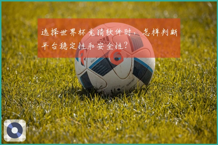 选择世界杯竞猜软件时，怎样判断平台稳定性和安全性？