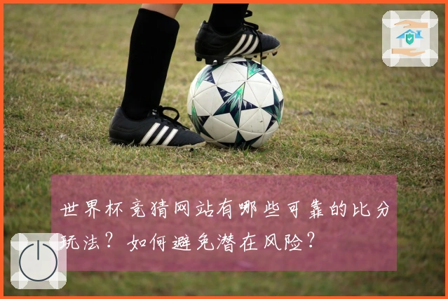 世界杯竞猜网站有哪些可靠的比分玩法？如何避免潜在风险？