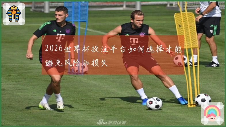 2026世界杯投注平台如何选择才能避免风险和损失